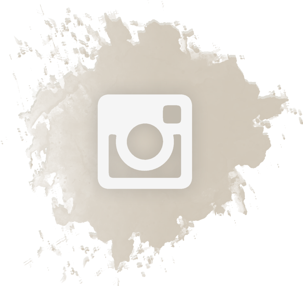 instagram icon