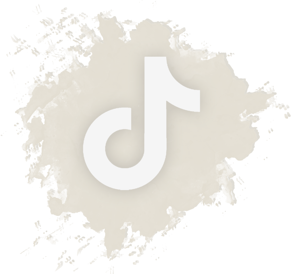 tiktok icon